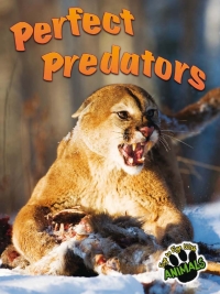 表紙画像: Perfect Predators 9781618102515