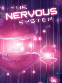 Omslagafbeelding: The Nervous System 9781618102546