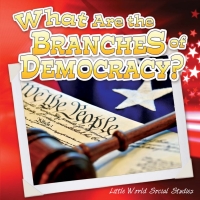 Omslagafbeelding: What Are The Branches of Democracy? 9781618102799