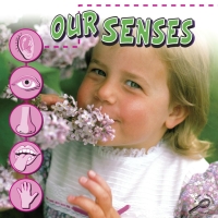 Cover image: Our Senses 9781600446740