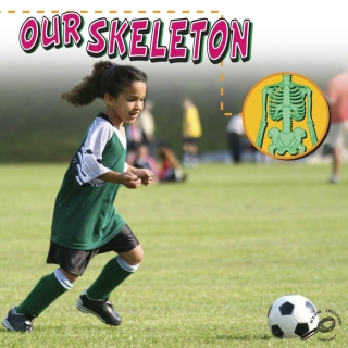 Cover image: Our Skeleton 9781600446757