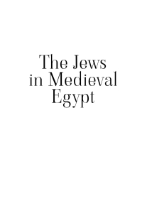 Cover image: The Jews in Medieval Egypt 9781618117472