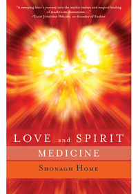 Immagine di copertina: Love and Spirit Medicine 9781618520494