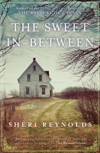 Cover image: The Sweet In-Between 1st edition 9781618580337