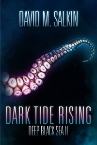 Titelbild: Dark Tide Rising 9781618683823