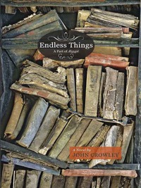 Immagine di copertina: Endless Things 9781931520225