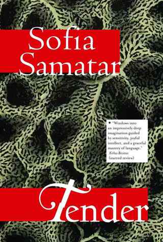 Immagine di copertina: Tender 9781618731265