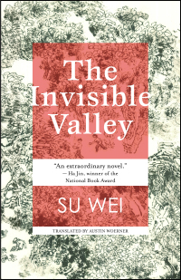 Cover image: The Invisible Valley 9781618731456