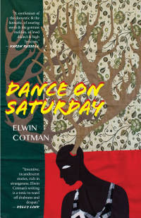 Omslagafbeelding: Dance on Saturday 9781618731722