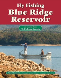 Omslagafbeelding: Fly Fishing Blue Ridge Reservoir 9781892469205