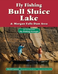 صورة الغلاف: Fly Fishing Bull Sluice Lake & Morgan Falls Dam Area 9781892469205