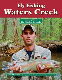 Imagen de portada: Fly Fishing Waters Creek 9781892469205