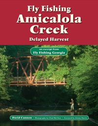 表紙画像: Fly Fishing Amicalola Creek, Delayed Harvest 9781892469205