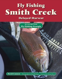 Omslagafbeelding: Fly Fishing Smith Creek, Delayed Harvest 9781892469205