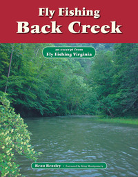 صورة الغلاف: Fly Fishing Back Creek 9781618810243