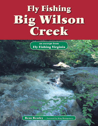 Omslagafbeelding: Fly Fishing Big Wilson Creek 9781618810250