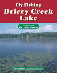 表紙画像: Fly Fishing Briery Creek Lake 9781618810267