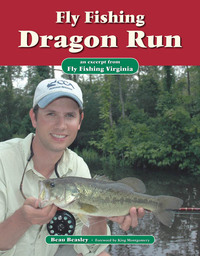 Omslagafbeelding: Fly Fishing Dragon Run 9781618810298