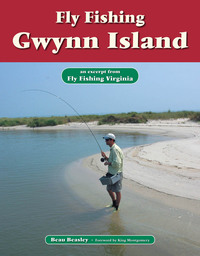 Omslagafbeelding: Fly Fishing Gwynn Island 9781618810304