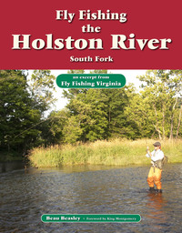 Omslagafbeelding: Fly Fishing the Holston River, South Fork 9781618810328