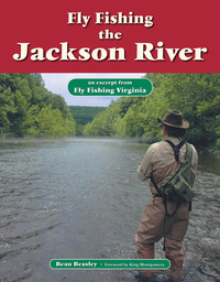 Titelbild: Fly Fishing the Jackson River 9781618810335