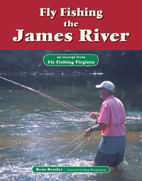 صورة الغلاف: Fly Fishing the James River 9781618810342