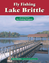 Titelbild: Fly Fishing Lake Brittle 9781618810359