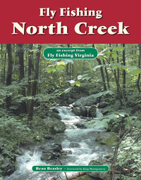 Cover image: Fly Fishing North Creek 9781618810403