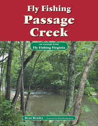 Cover image: Fly Fishing Passage Creek 9781618810410