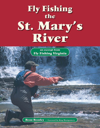Titelbild: Fly Fishing the St. Mary's River 9781618810502