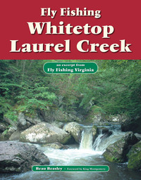Cover image: Fly Fishing Whitetop Laurel Creek 9781618810519