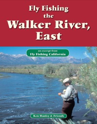 Omslagafbeelding: Fly Fishing Walker River, East 9781618811158