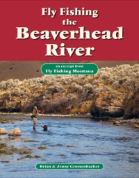 Omslagafbeelding: Fly Fishing the Beaverhead River 9781618811189
