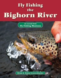 Omslagafbeelding: Fly Fishing the Bighorn River 9781618811202