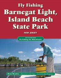 Cover image: Fly Fishing Barnegat Light, Island Beach State Park, New Jersey 9781618811707