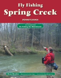 Omslagafbeelding: Fly Fishing Spring Creek, Pennsylvania 9781618811905
