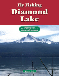 Omslagafbeelding: Fly Fishing Diamond Lake 9781892469090