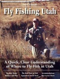 Omslagafbeelding: Fly Fishing Utah 9780963725684