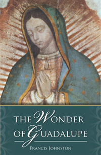 Titelbild: The Wonder of Guadalupe 9780895551689