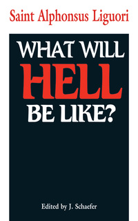 Cover image: What Will Hell Be Like? 9780895553416
