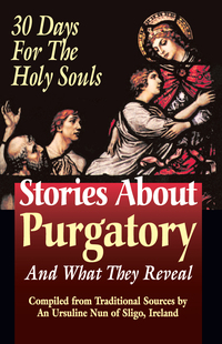 Imagen de portada: Stories About Purgatory and What They Reveal 9780895557995