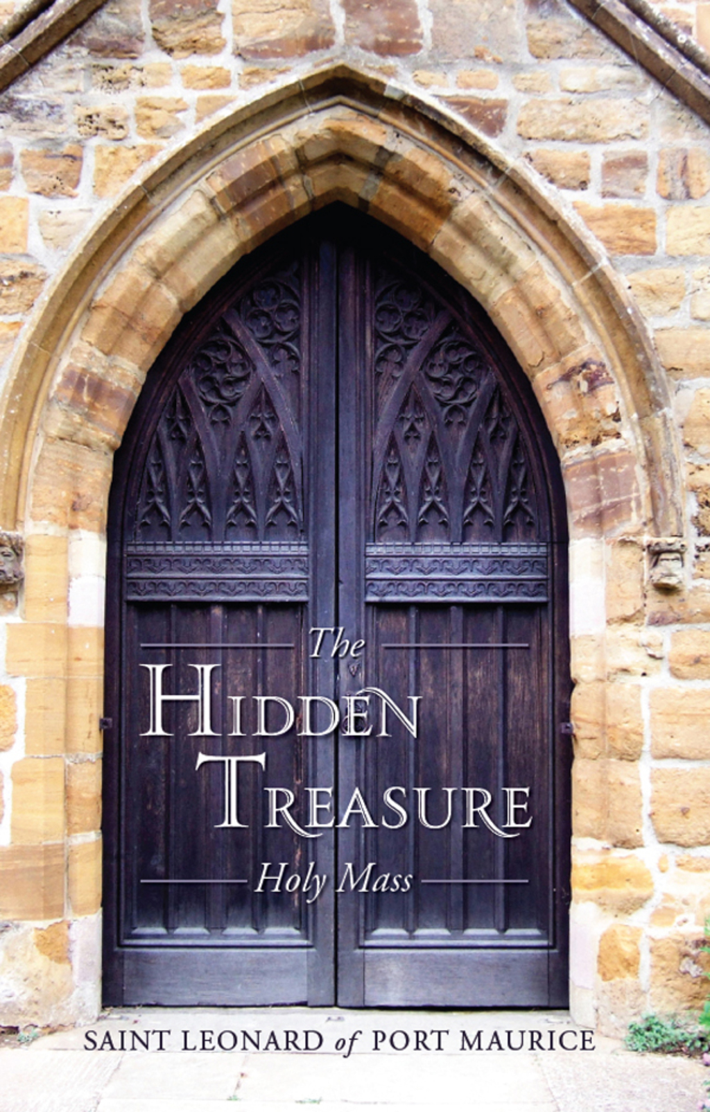 The Hidden Treasure eBook