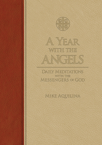 Cover image: A Year with the Angels 9781618904171