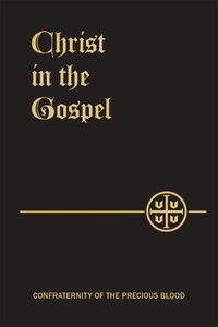 Omslagafbeelding: Christ in the Gospel 9781618908391