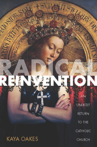 Cover image: Radical Reinvention 9781593764319