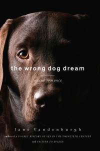 Cover image: The Wrong Dog Dream 9781619021204