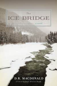 Cover image: The Ice Bridge 9781619021181