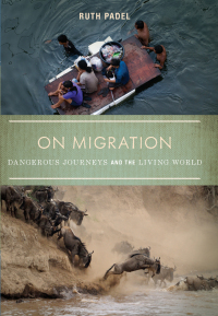 Cover image: On Migration 9781619021952