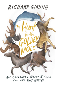 Cover image: The Hunt for the Golden Mole 9781619024502