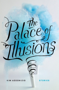 Cover image: The Palace of Illusions 9781593765422